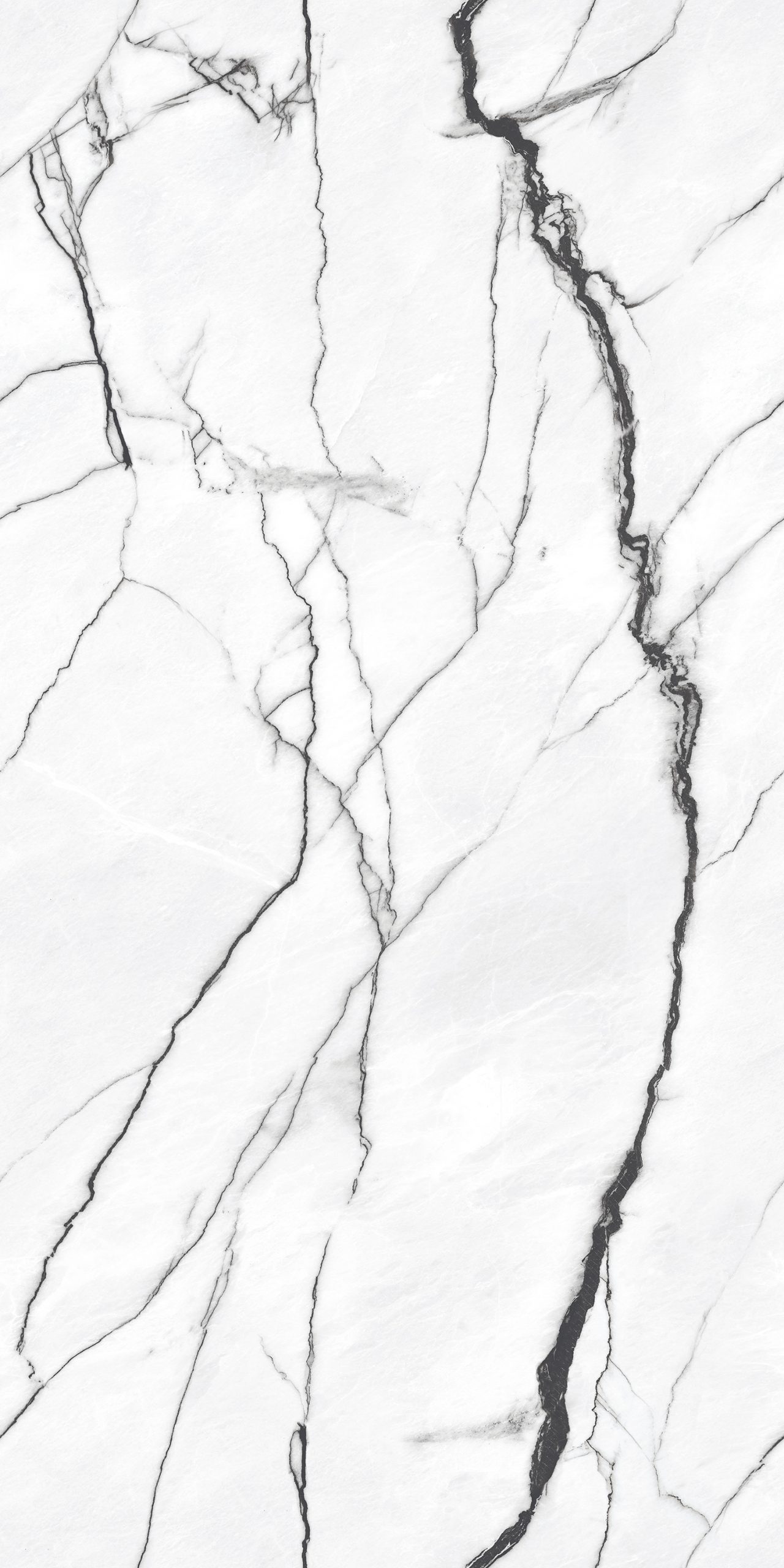 Eternal Carara Vein Gloss 60X120cm Porcelain Tile - Image 2