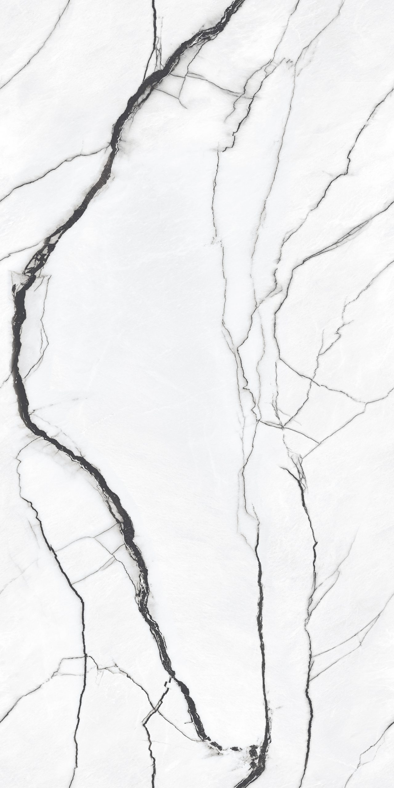 Eternal Carara Vein Gloss 60X120cm Porcelain Tile - Image 3