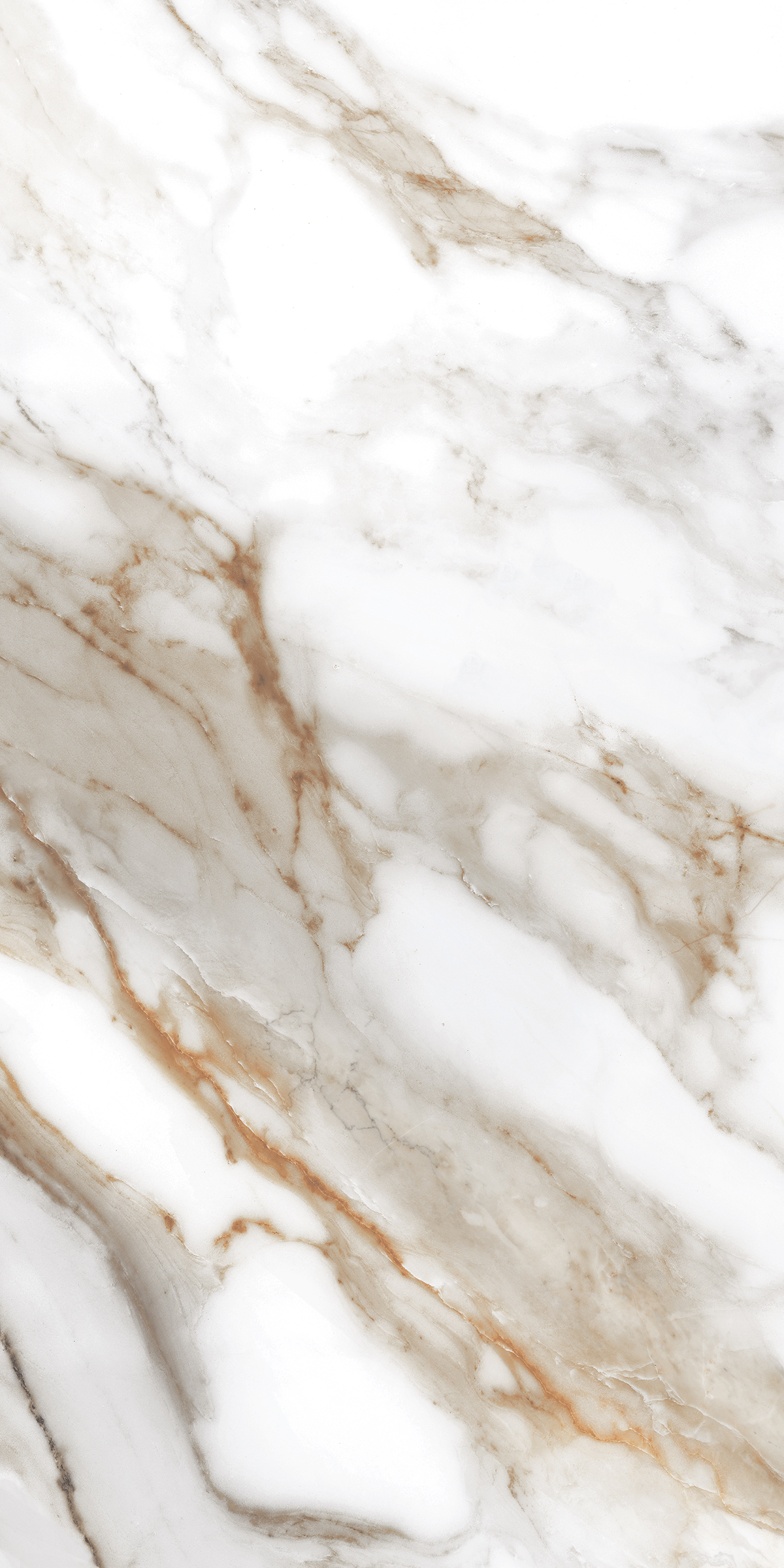 Calcutta Beach Marble Matt Porcelain 60x120cm Tiles - Image 2