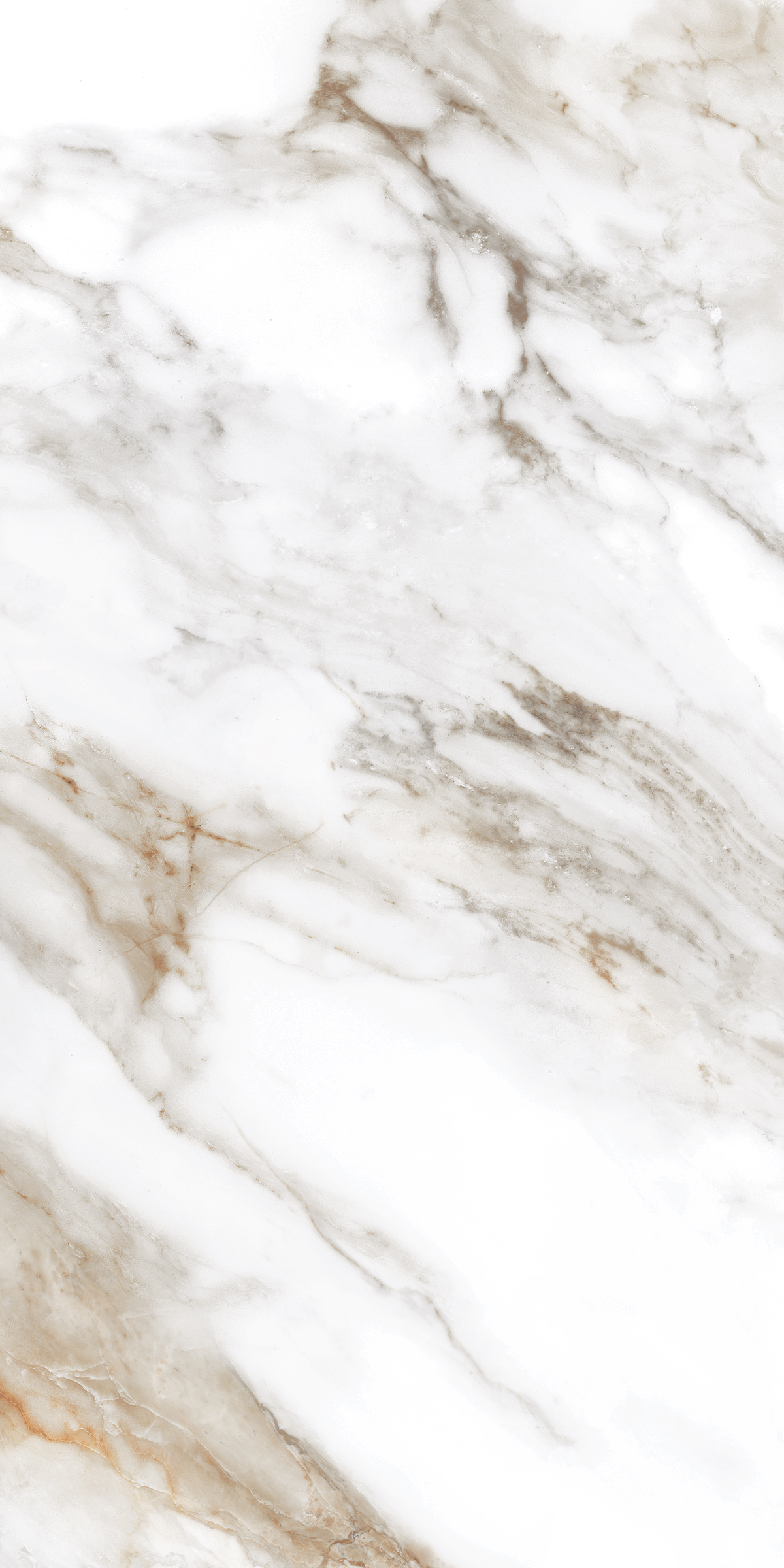 Calcutta Beach Marble Matt Porcelain 60x120cm Tiles - Image 3