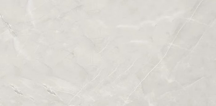 Arsenic Pegion Grey Gloss Porcelain 60x120cm Tiles - Image 3